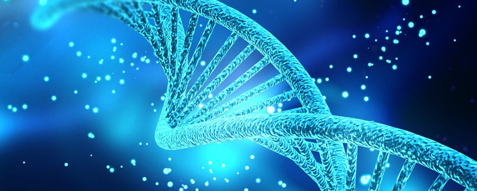 Stem Cell Therapy Helps Your DNA Image