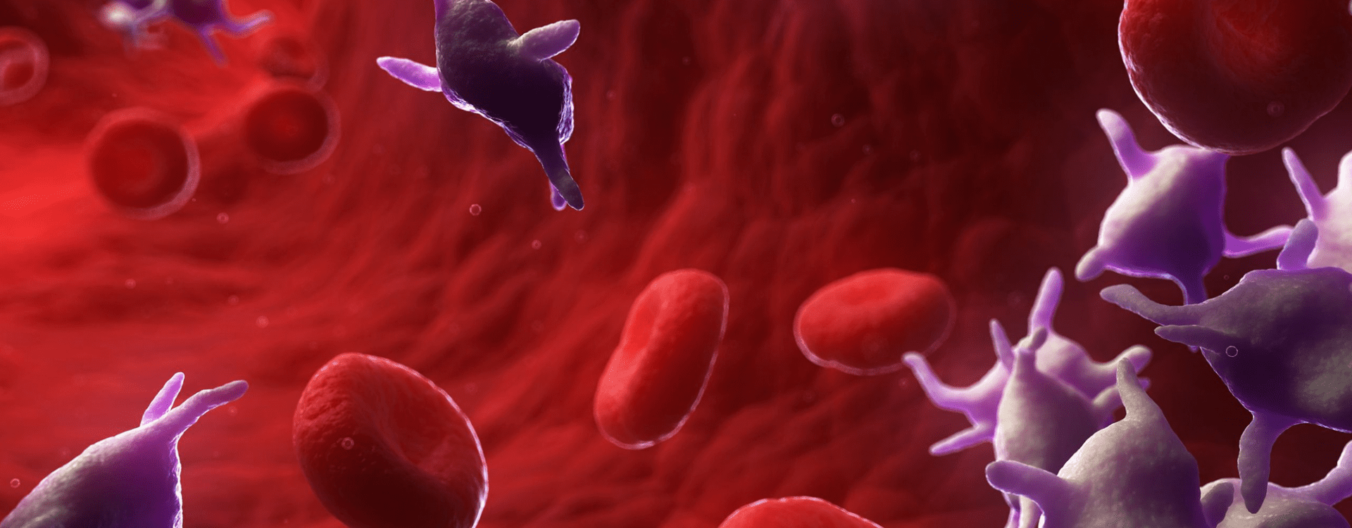 Prolotherapy & Prolozone Hawaii Island Stem Cell Therapy and