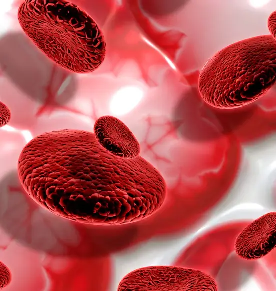 Medical illustration of platelet activation in PRP showing platelets acting as biologic delivery vehicles